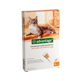 Advantage 40 Gato Até 4kg - 4 Pipetas - Bayer