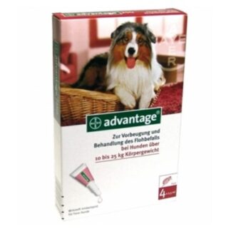 Advantage 250 Cão 10 a 25Kg - 4 Pipetas - Bayer