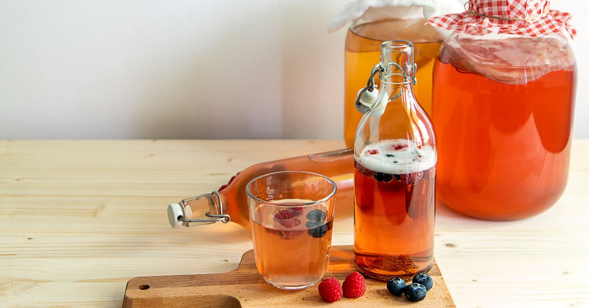 Kombucha: Conheça os Benefícios, Propriedades e Como Preparar a Bebida Fermentada