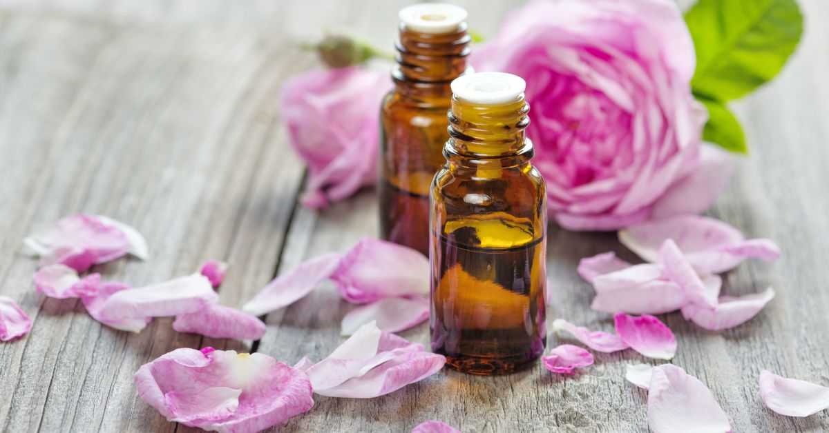 Benefícios e Usos do Óleo de Rosa Mosqueta para a Saúde e Beleza